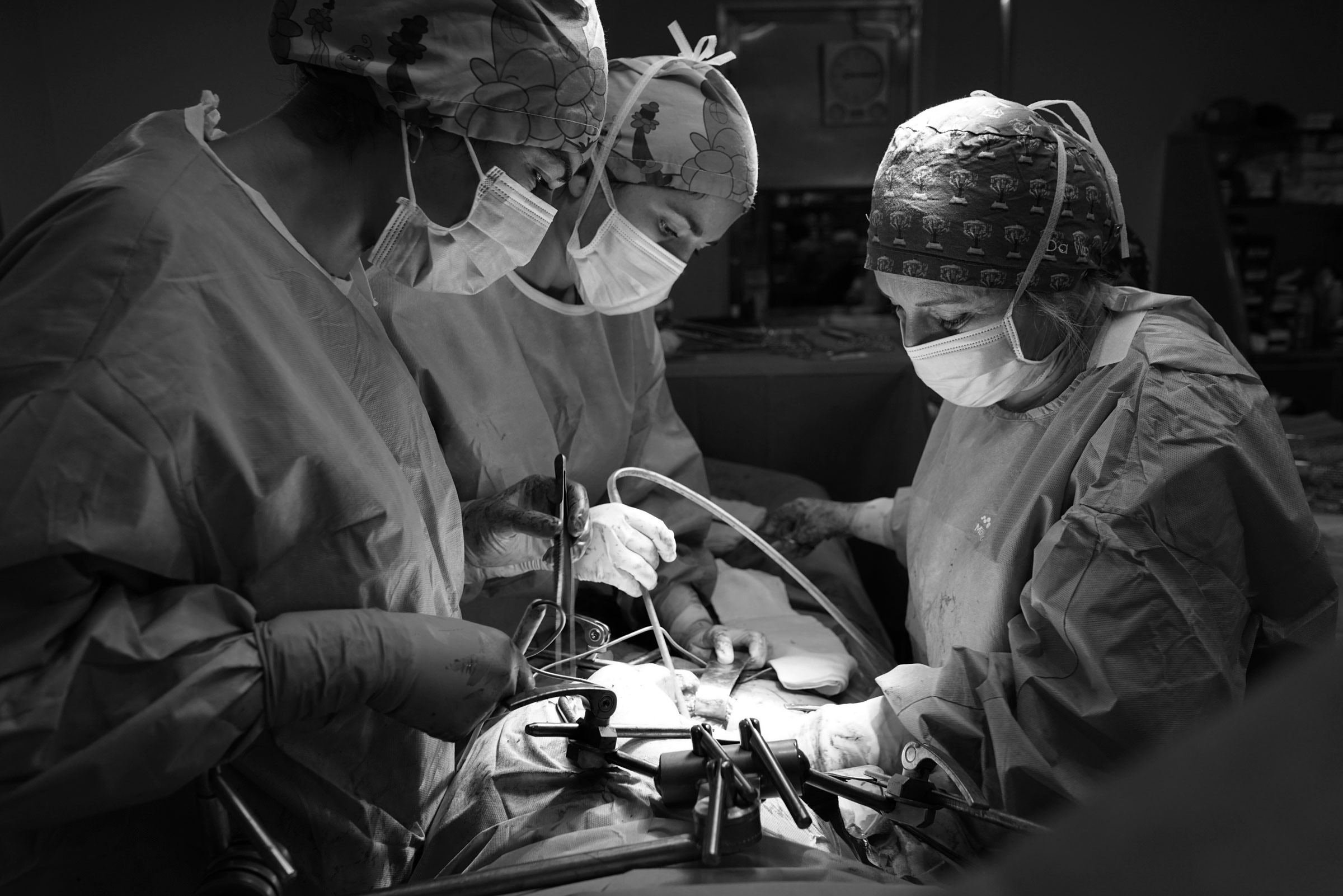 Cádiz, España. Equipo de trasplante renal durante una cirugía en el Hospital Universitario Puerta del Mar de Cádiz (HUPM). Entre 2023 y 2025 se realizaron 377 trasplantes renales en Cádiz, según datos de la Organización Nacional de Trasplantes (ONT), España.